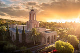 Newport Beach Sunny Aerial