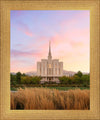 Oquirrh Grassy Morning