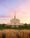 Oquirrh Grassy Morning