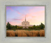 Oquirrh Grassy Morning