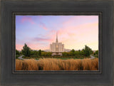 Oquirrh Grassy Morning