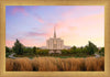 Oquirrh Grassy Morning