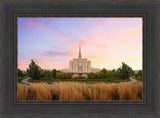 Oquirrh Grassy Morning