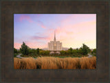 Oquirrh Grassy Morning