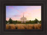 Oquirrh Grassy Morning