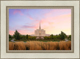 Oquirrh Grassy Morning