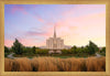 Oquirrh Grassy Morning