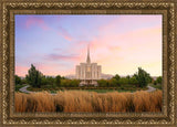 Oquirrh Grassy Morning