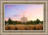 Oquirrh Grassy Morning