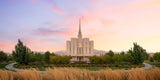 Oquirrh Grassy Morning