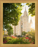 Salt Lake - The Lord is My Light (Vertical)