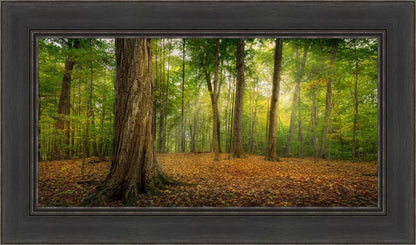 Oh How Lovely was the Morning