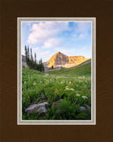 Timpanogos Meadow