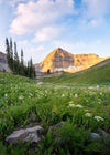 Timpanogos Meadow