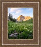 Timpanogos Meadow