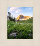 Timpanogos Meadow