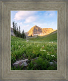 Timpanogos Meadow