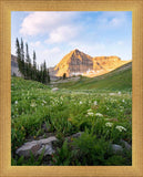 Timpanogos Meadow