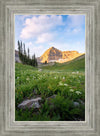 Timpanogos Meadow