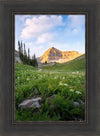 Timpanogos Meadow