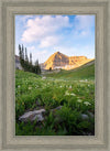 Timpanogos Meadow