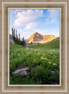 Timpanogos Meadow