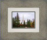 Portland Temple Forest Through The Trees