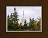 Portland Temple Forest Through The Trees