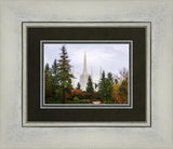 Portland Temple Forest Through The Trees