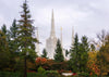 Portland Temple Forest Through The Trees