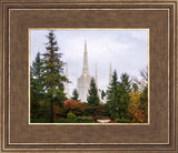 Portland Temple Forest Through The Trees