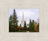 Portland Temple Forest Through The Trees