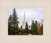 Portland Temple Forest Through The Trees