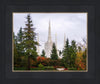 Portland Temple Forest Through The Trees