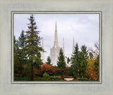 Portland Temple Forest Through The Trees