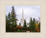 Portland Temple Forest Through The Trees