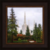 Portland Temple Forest Through The Trees