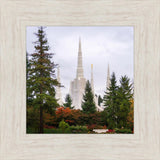 Portland Temple Forest Through The Trees