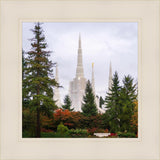 Portland Temple Forest Through The Trees