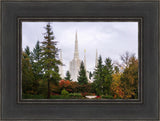 Portland Temple Forest Through The Trees