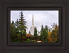 Portland Temple Forest Through The Trees