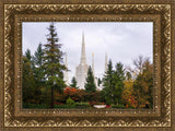 Portland Temple Forest Through The Trees