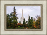 Portland Temple Forest Through The Trees