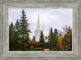 Portland Temple Forest Through The Trees