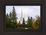 Portland Temple Forest Through The Trees