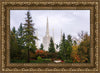 Portland Temple Forest Through The Trees