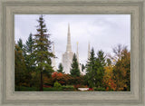 Portland Temple Forest Through The Trees