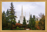 Portland Temple Forest Through The Trees