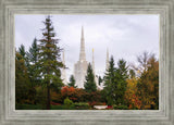 Portland Temple Forest Through The Trees