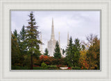 Portland Temple Forest Through The Trees